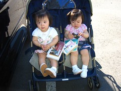 The girls got library cards and a pile of books today!
