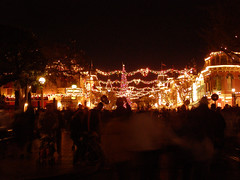 Disneyland in December (43)