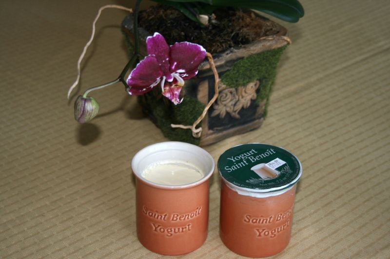 St. Benoit Yogurt