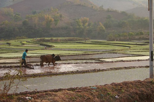Typical rural scene in Northwestern Vietnam...