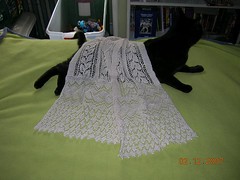 Lace on Cat