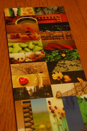 moo's cards