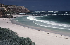 199101 056 Kangaroo Island