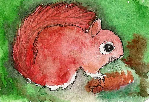 red squirrel and the pine cone