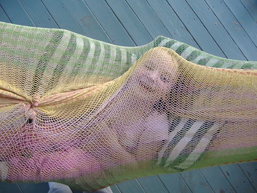 Trin in the hammock