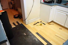 Bamboo Flooring Continued