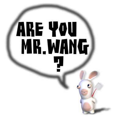 are you mr wang