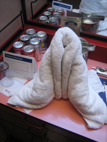vagina towel