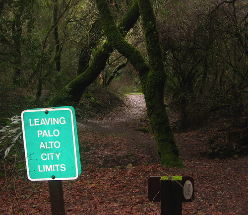 Leaving Palo Alto