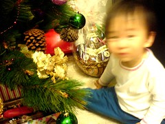 Kid at Christmas Tree