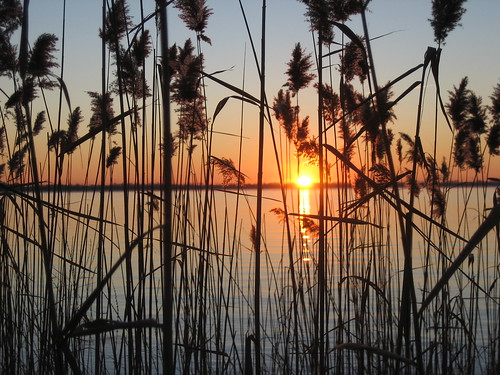 Sun rising over the St Lawrence River. Picture by me, click image for source.