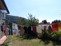 Laundry Morning in the Front Yard