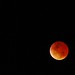 Eclipse lunar March 3, 2007