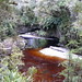 Tanin stained Oparara River