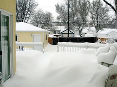 Blizzard of 2006 - Thursday Morning
