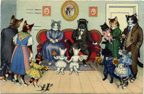 Postcard:  Cat Family Gathering