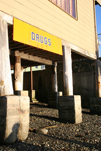 owl drugs from the shore