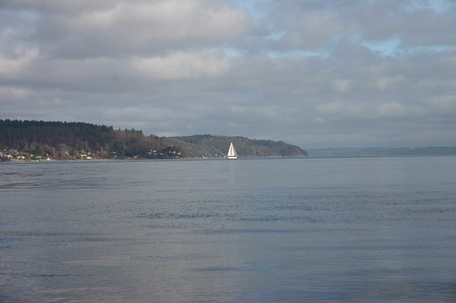 sailing in january