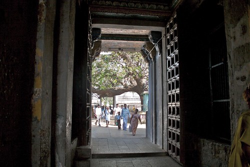 Vaithisvarankoil Temple
