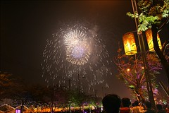2007台灣燈會在嘉義171