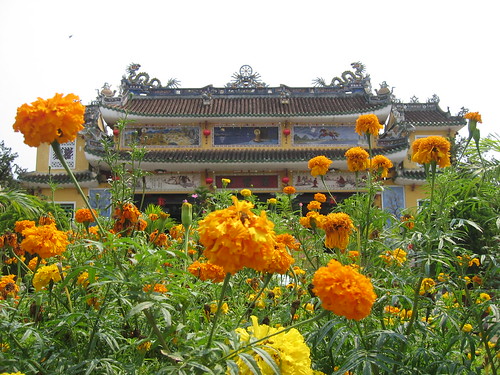 Marigold temple Hoi An
