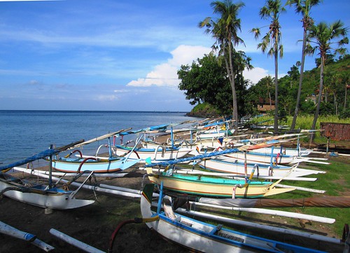 The fleet - Lepah Bay, Bail