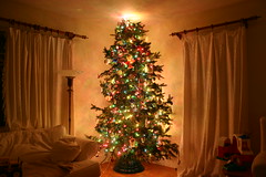 A lit christmas tree in the corner of a room. Image by takfoto on flickr