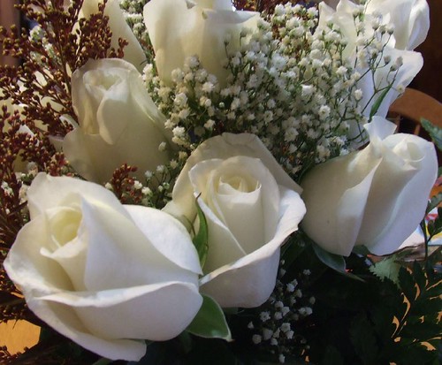 White buquê de rosas por Andrea_R