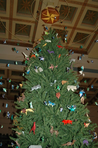 museum of natural history tree