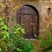 Door to the secret garden....