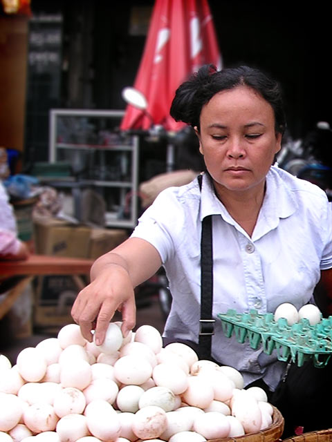 Putting all of your eggs in one basket, Cambodia