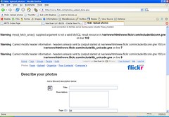 Flickr MySQL error