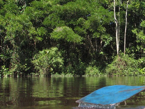 Amazonas - en stilla färd i kanot