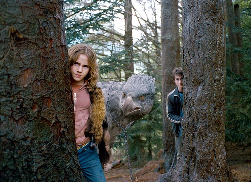 Hermione con Harry Potter