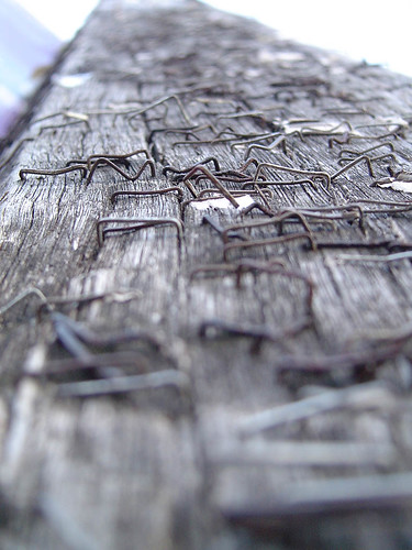 staples and wood 1