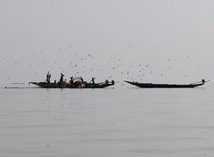 India Odisha - Chilika Lake