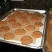 Molasses Cookies - second batch fresh from the oven