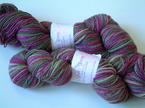 Lorna's Laces Shephard Sock- Vera
