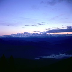 Darjeeling 3