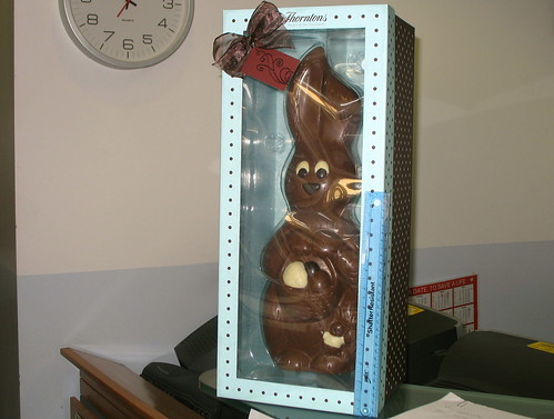 This chocolate bunny is huge. There is a ruler against the box to give some scale.