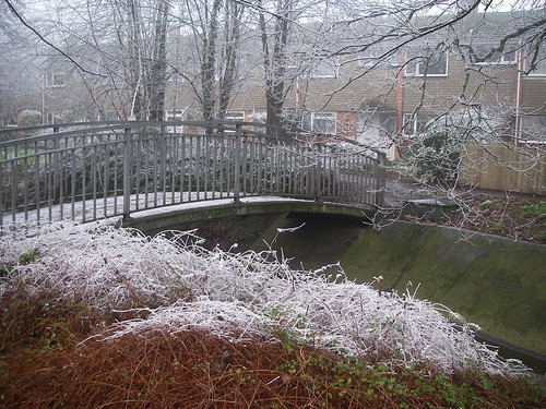 Bridge in Frost