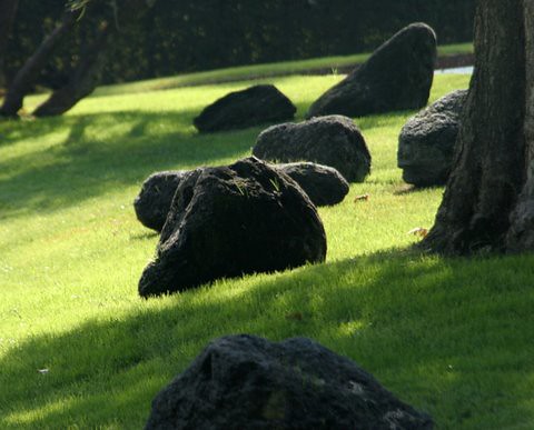 rock formation in a garden