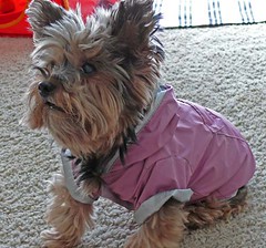 Suki's new raincoat