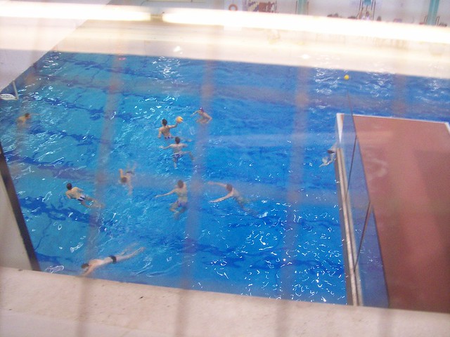 Water Polo players at the University of Ottawa. The best male watersports photo I have ever taken. Also the only one.