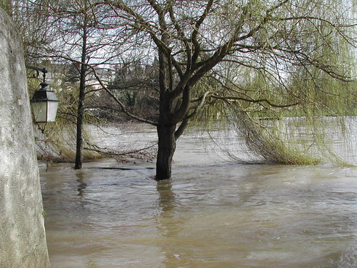 willow flooded