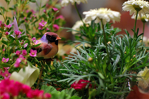 a Bird and Flowers