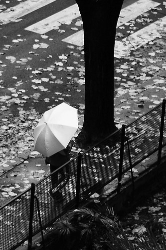 Gentle Rain ♬ by ♫ enzinho.