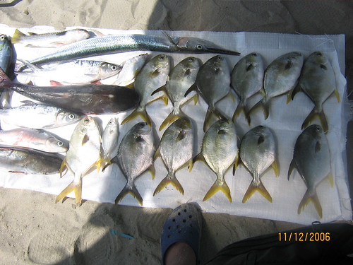 fishing 11/12/2006