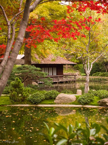 Japanese Tea House in the Fall