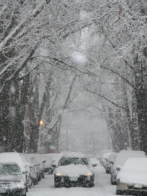 Snow on Swann St., NW DC